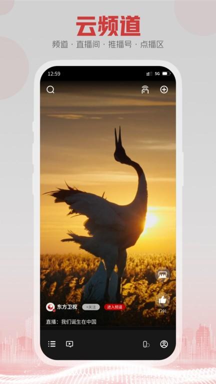 5g云tv电视版下载,点播app,5g云tv,追剧app