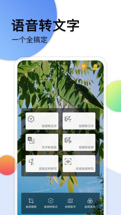 音频转文字软件免费版下载,音频转文字,转换app
